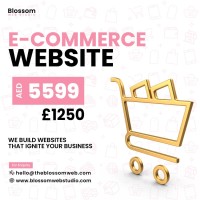 Get an Ecommerce Website Design for Your Online Store