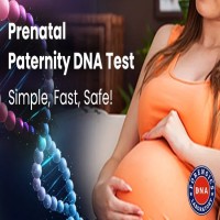 Get a Prenatal Paternity Test in India – Simple Fast Safe 
